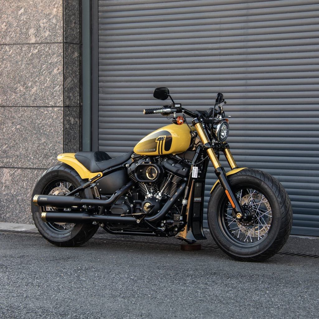 2025/9/25 Street Bob Custom Case