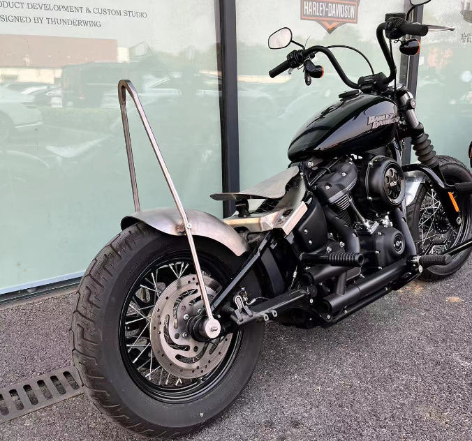 Sissy bar deals bobber