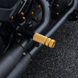 Rear Passenger Footpeg Crash Bar Fit For  Harley Softail 2018-later Street Bob Low Rider Heritage Classic