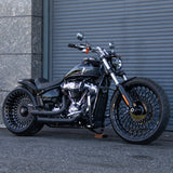 260 Single-sided swingarm conversion For 2020 Fat boy