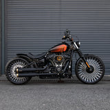 Hoprousa Motorcycle Rear Fender Steel Unpainted Short Mudguard for Harley Davidson Softail 2018-2022 Slim Street Bob Low Rider Fatbob Sports Glide up to 180/200mm Tires