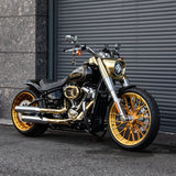 Hoprousa Motorcycle Fenders, Custom Short Gloss Black Front Fender Fits For 2018-2025 Harley Davidson Softail Fat Boy With 21x3.5" Front Wheel