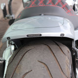 Hoprousa Motorcycle Fender Heavy Duty New Short Rear Fender With Lights Plug & Play Barracuda Silver with Pinstripe Fit for Harley Softail Breakout Fat Boy 2018-2022